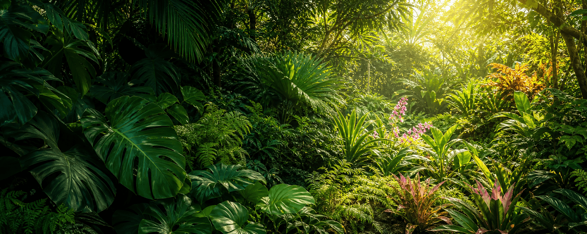 Residential garden